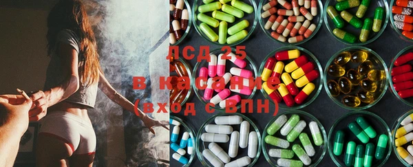 ECSTASY Алзамай