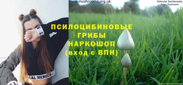каннабис Алексин