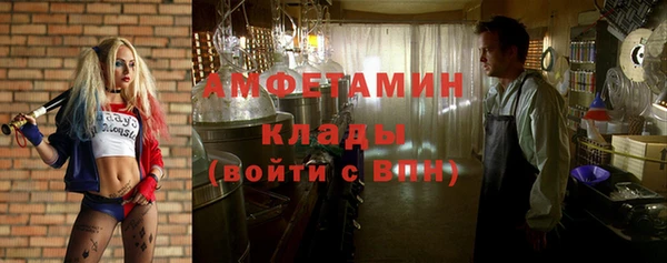 ECSTASY Алзамай